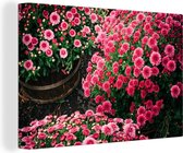 Peintures sur Toile Fleurs - Automne - Rose - 140x90 cm - Décoration murale