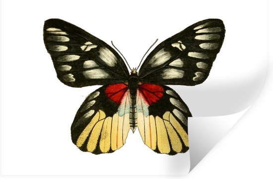 Stickers Stickers muraux - Papillon - Rouge - Jaune - 30x20 cm - Feuille adhésive