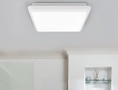 Arcchio - LED plafondlamp - 1licht - polycarbonaat - H: 5 cm - wit - Inclusief lichtbron