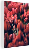 Canvas Schilderij Close-up van rode tulpen - 40x60 cm - Wanddecoratie