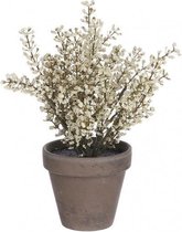 Mica Decorations Kunstplant Astilbe 21 Cm Keramiek Crème