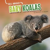 Oh Baby! - All About Baby Koalas