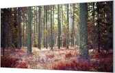 HalloFrame - Schilderij - Bos In De Herfst Wandgeschroefd - Zwart - 180 X 90 Cm