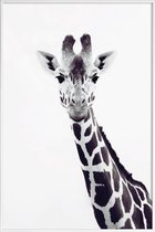JUNIQE - Poster in kunststof lijst Giraffe -30x45 /Grijs & Wit