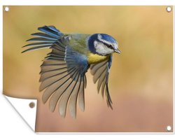 Tuinposter - Tuindoek - Tuinposters buiten - Een mees in vlucht richting de volgende rustplek - 120x90 cm - Tuin