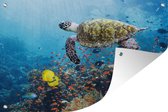 Muurdecoratie Schildpad bij koraalrif - 180x120 cm - Tuinposter - Tuindoek - Buitenposter