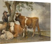 De stier, Paulus Potter - Foto op Plexiglas - 90 x 60 cm