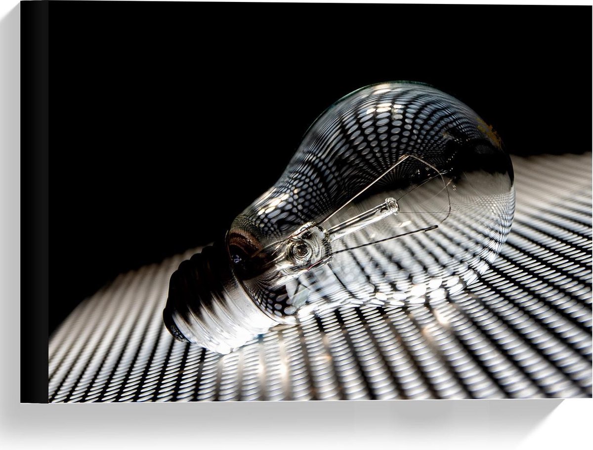 Canvas - Gloeilamp op Rooster - 40x30cm Foto op Canvas Schilderij (Wanddecoratie op Canvas
