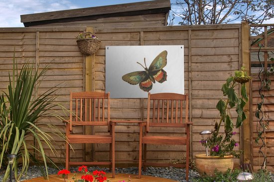 Décoration de jardin Vintage - Papillon - Marron - 60x40 cm - Affiche de jardin - Toile de jardin - Affiche extérieure