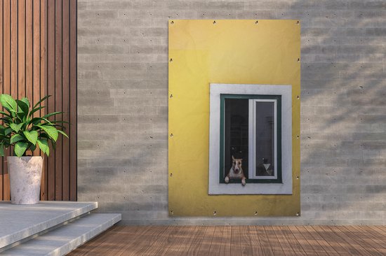 Décoration murale Chien marron par la fenêtre - 120x180 cm - Poster jardin - Toile jardin - Poster extérieur