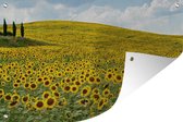 Affiche de jardin Tournesol - Tournesols en Toscane 90x60 cm - Toile de jardin / Toile d'extérieur / Peintures d'extérieur (décoration de jardin)