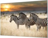 Wandpaneel Drie zebra's  | 100 x 70  CM | Zilver frame | Wand-beugels (27 mm)