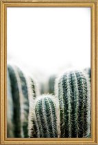 JUNIQE - Poster met houten lijst Cactus 1 -20x30 /Groen & Wit