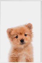 JUNIQE - Poster met kunststof lijst Puppy II -40x60 /Bruin