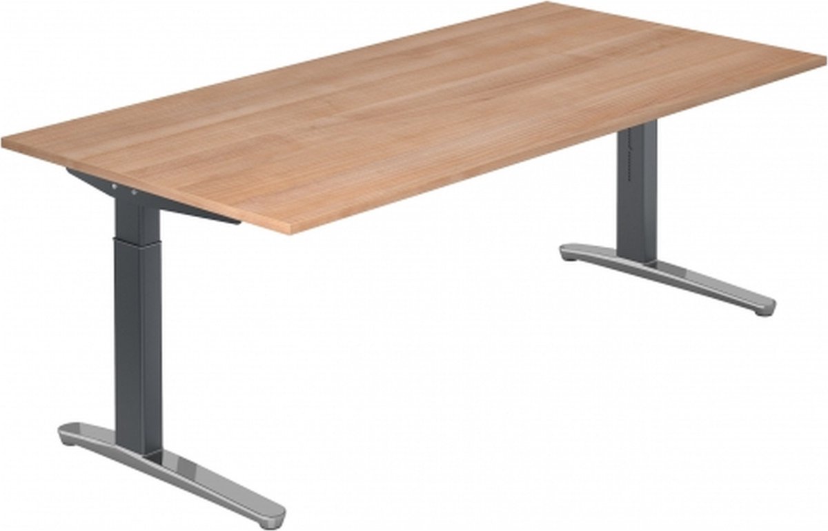 XTRA XB 2E GC Walnoot