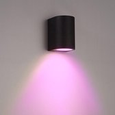 Lednify WiZ Connected Smart WiFi LED GU10 5W RGB en Wandlamp Alvin - Zwart - IP44