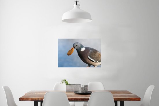 Poster Un vilain pigeon avec un biscuit dans la bouche 60x40 cm - Tirage photo sur Poster (décoration murale salon / chambre) / Poster Vogels