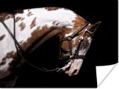 Gevlekt paard poster papier 80x60 cm - Foto print op Poster (wanddecoratie woonkamer / slaapkamer) / Boerderijdieren Poster