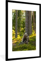 Photo en cadre - Cadre photo Ours bruns dans la forêt noir avec passe partout blanc 60x90 60x90 cm - Affiche sous cadre (Décoration murale salon / chambre)