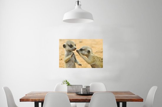 Papier d'affiche de deux suricates