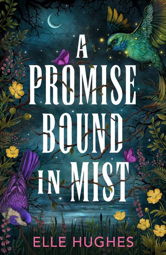 A Promise Bound in Mist - cover