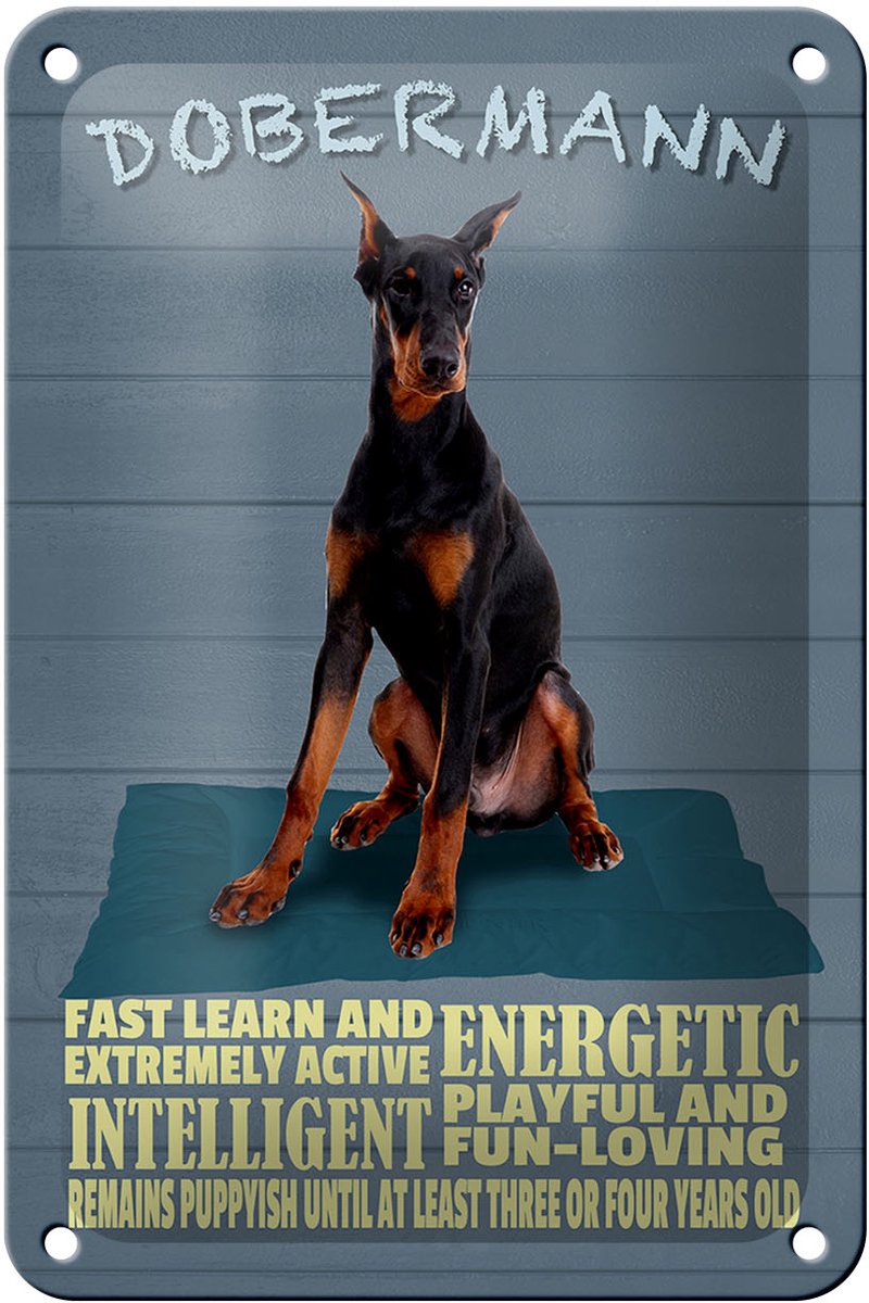 Blechschild Spruch 12x18cm Dobermann Hund fast learn and