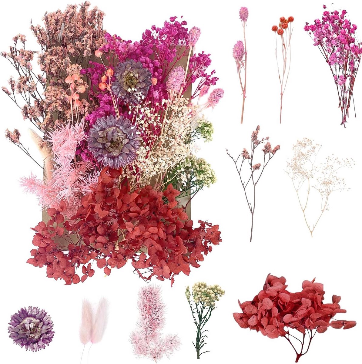 Gedroogde Bloemen Set: Ambachtelijke Bloemen voor DIY Kunst, Sieraden, Resin en Scrapbooki