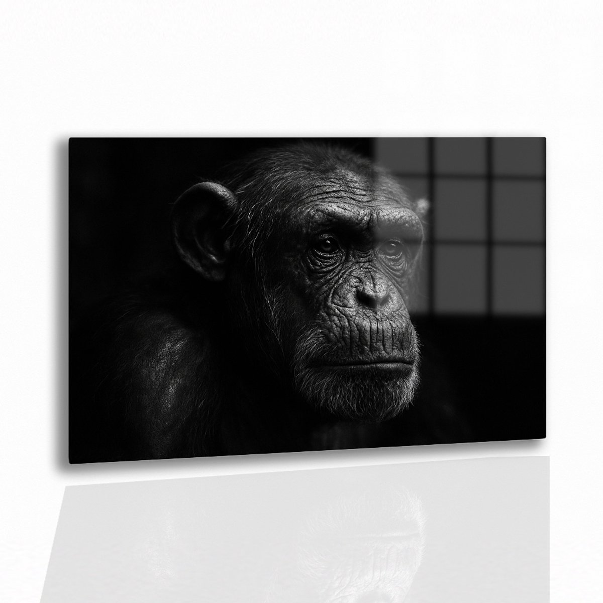 Chimpansee – acrylglas – plexiglas – Glasschilderij – 45x30 cm