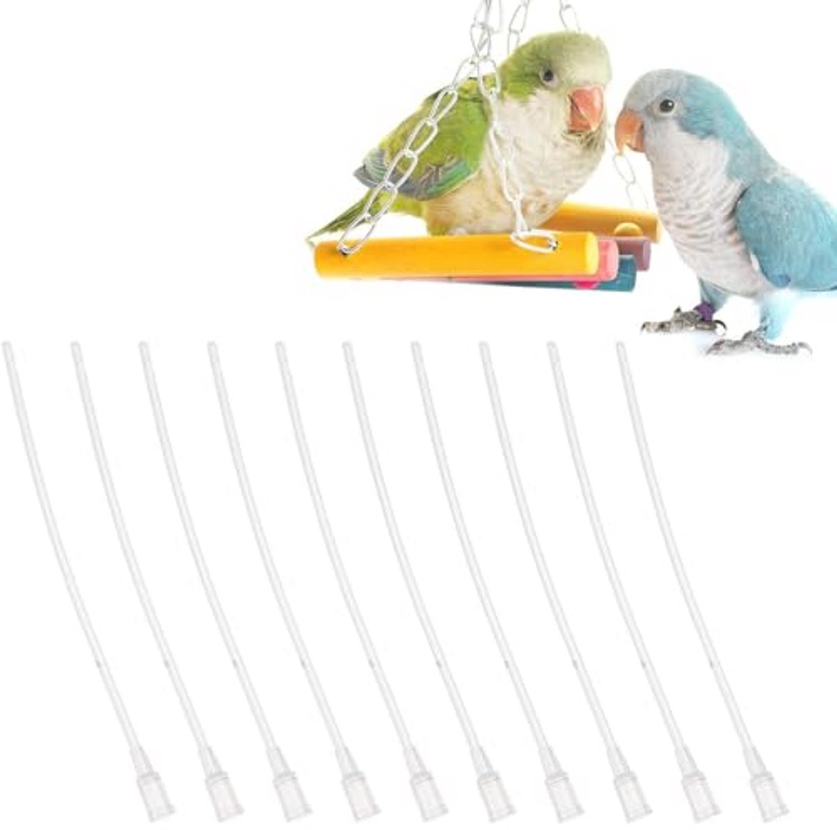 Set van 10 doorzichtige voederstations voor papegaaien en vogels - Snelle voeding met spuit voor huisdieren