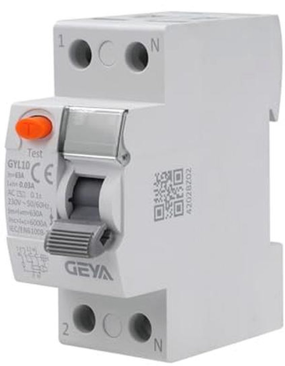 Veiligheidsschakelaar 63A 30mA 2-polige aardlekschakelaar voor AC 230V