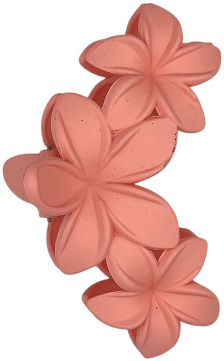 Haarklem - haarklauw - haarclip - roze - meisjes - dames - bloemen