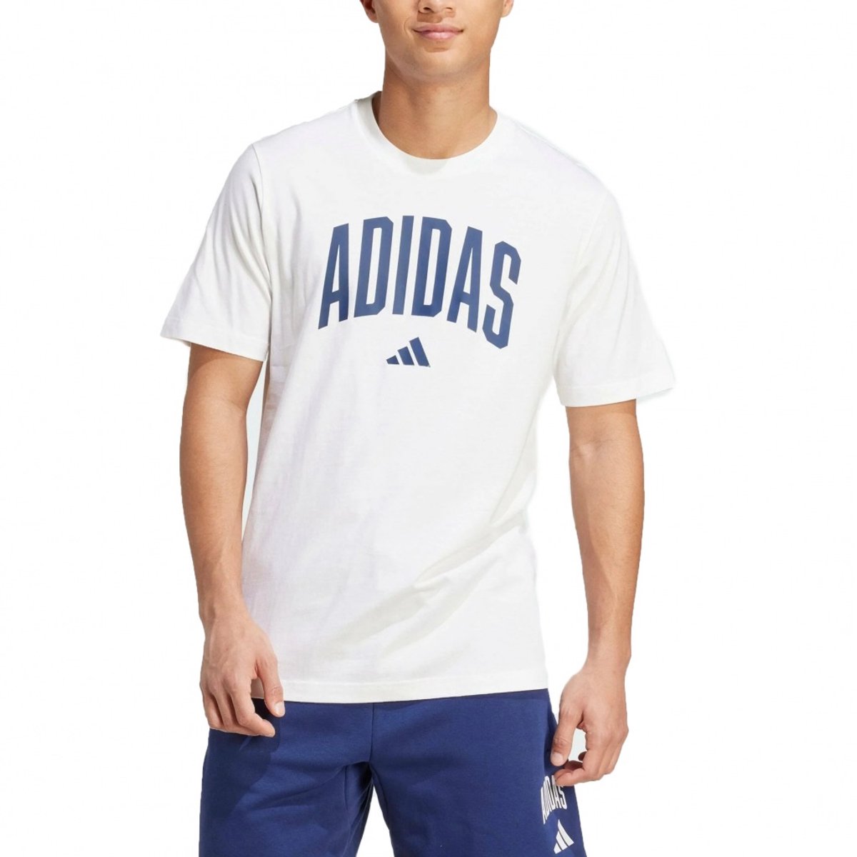 ADIDAS M COLLEGIATE T S EU Wit