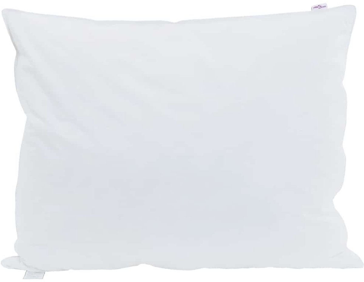Hoofdkussen met kussen 2 st | Beddengoed Wit 40 x 60 cm Veren
