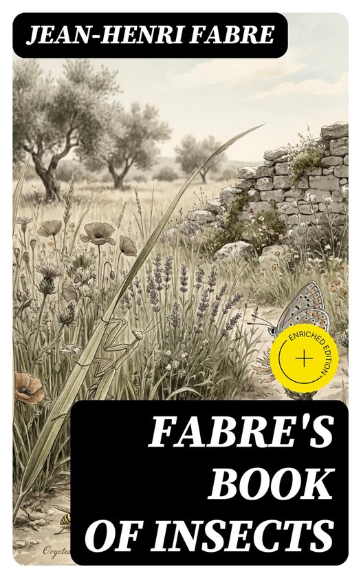 Fabre's Book of Insects