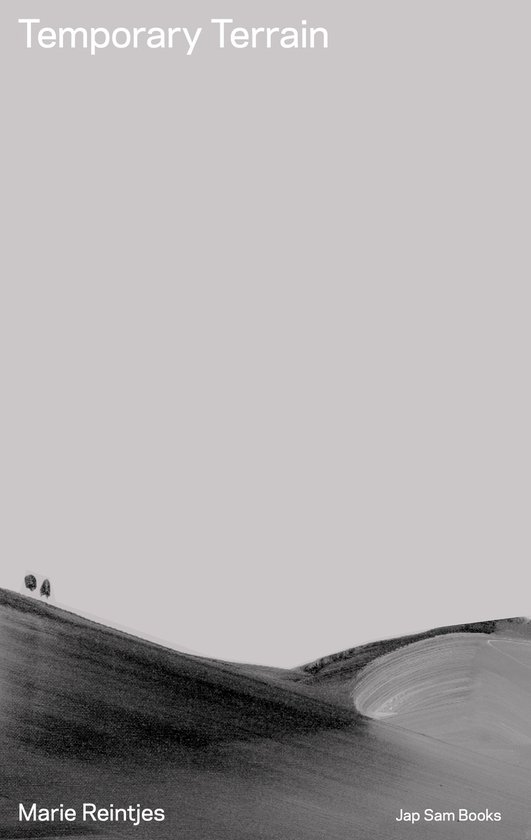 Temporary Terrain. Marie Reintjes - cover