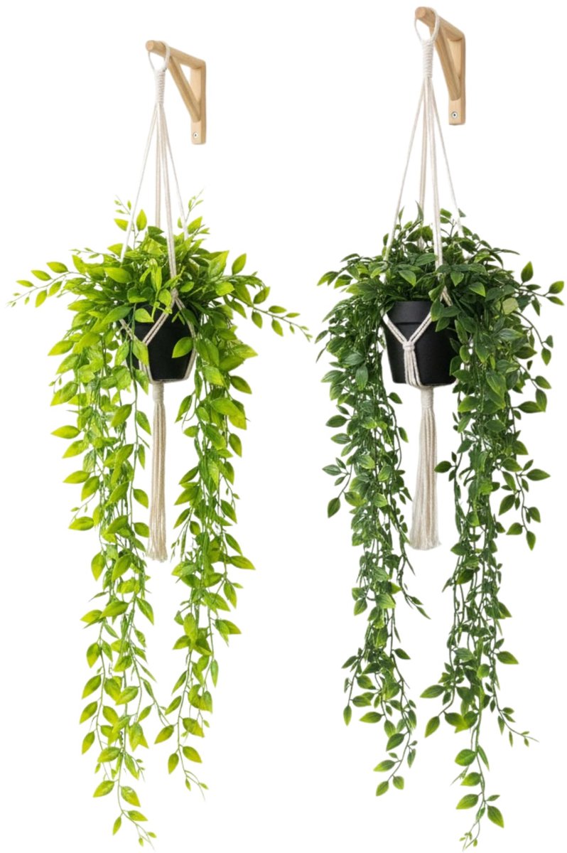 Unyqoos Set van twee levensechte kunstplanten voor veelzijdige binnen- en buitendecoratie Groen