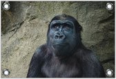 Tuinposter –Gorilla Aap– 60x40 Foto op Tuinposter (wanddecoratie voor buiten en binnen)