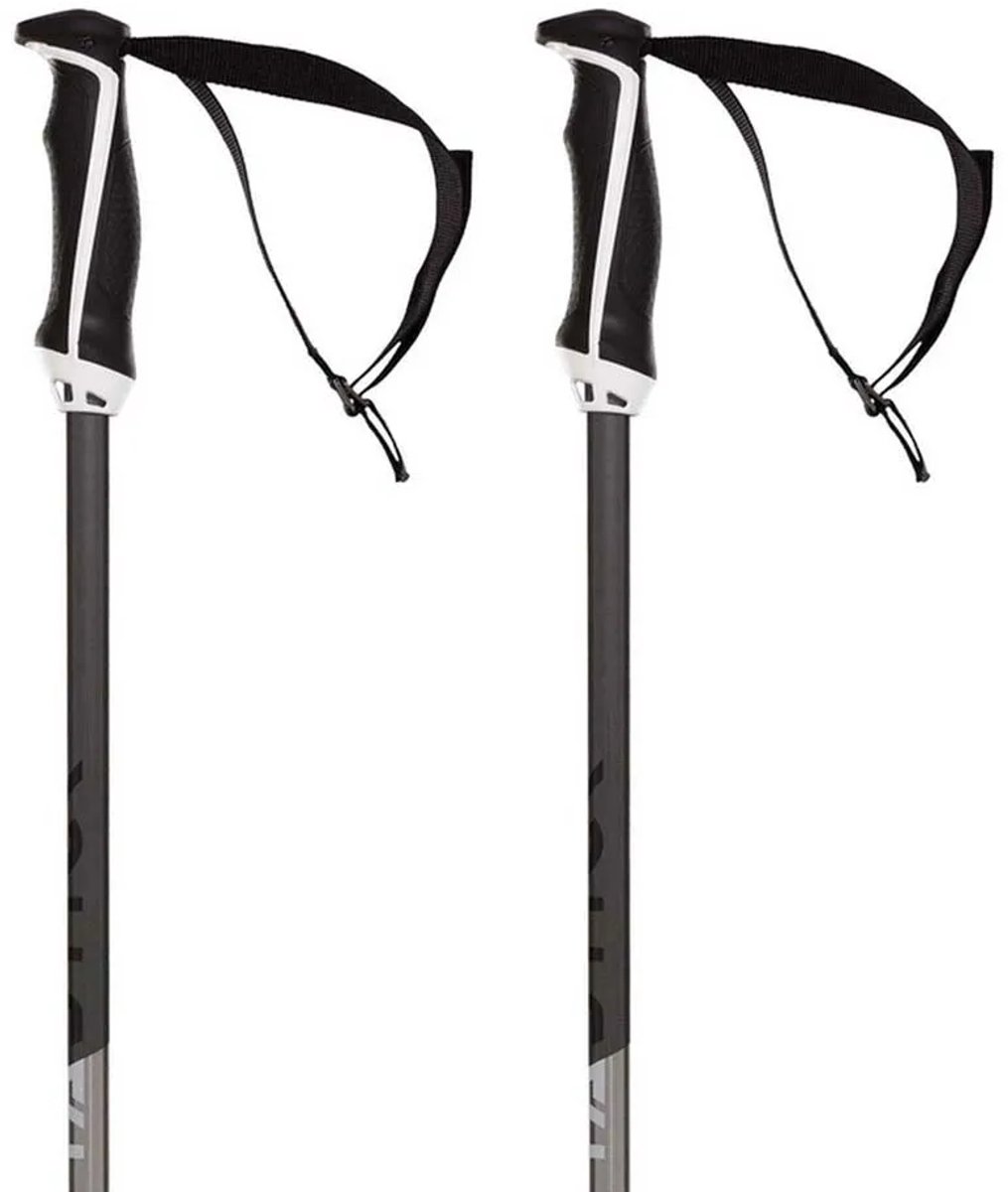 Volkl Phantastick 18mm Stokken Zilver 120 cm