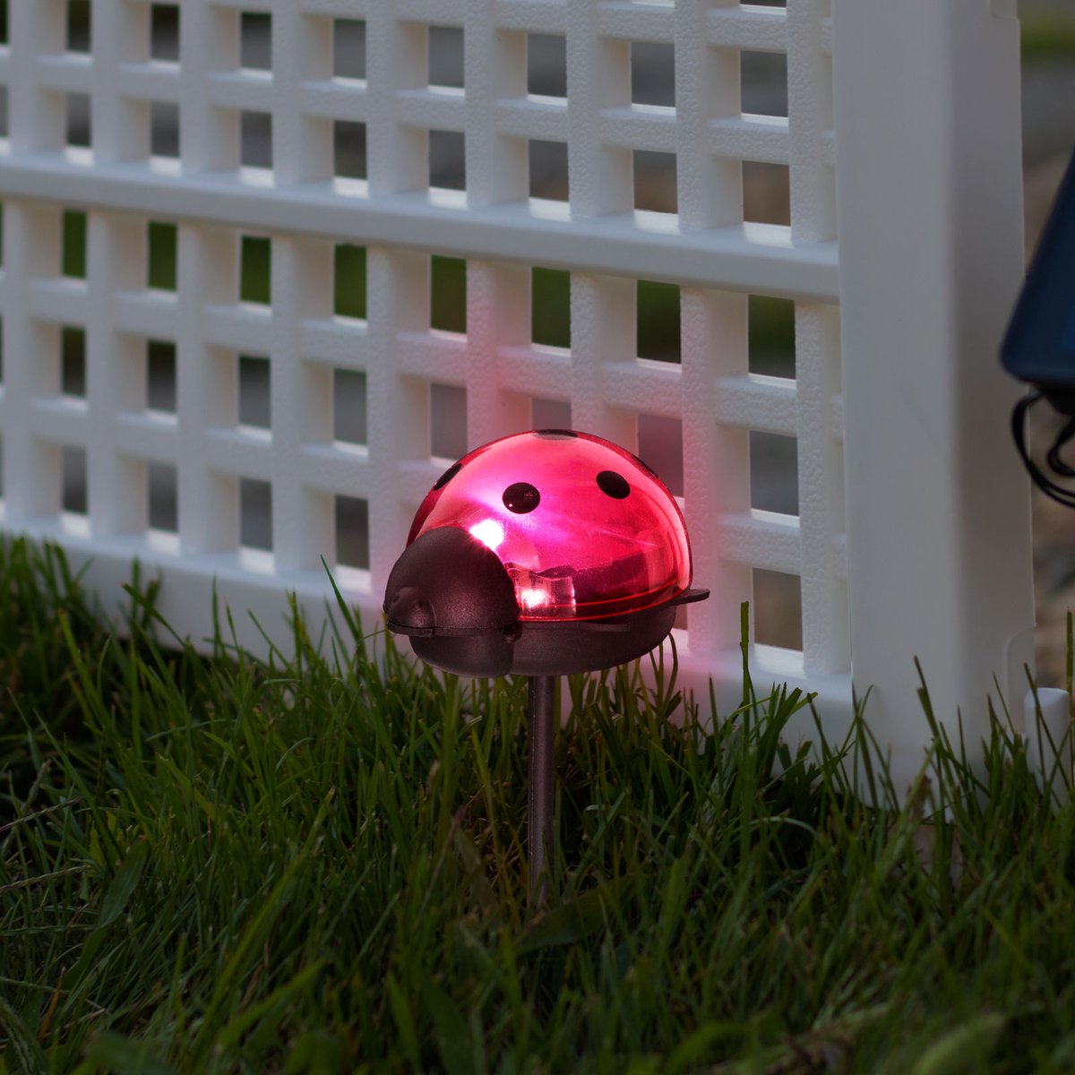 Solar Tuinlamp LED op Zonne-Energie – Lieveheersbeestje Decoratielamp Buiten – 1 Koel Witte LED – 75 x 60 x 156 mm – Met Grondpen – Automatisch Aan/Uit – Sfeerverlichting voor Tuin [11240C]