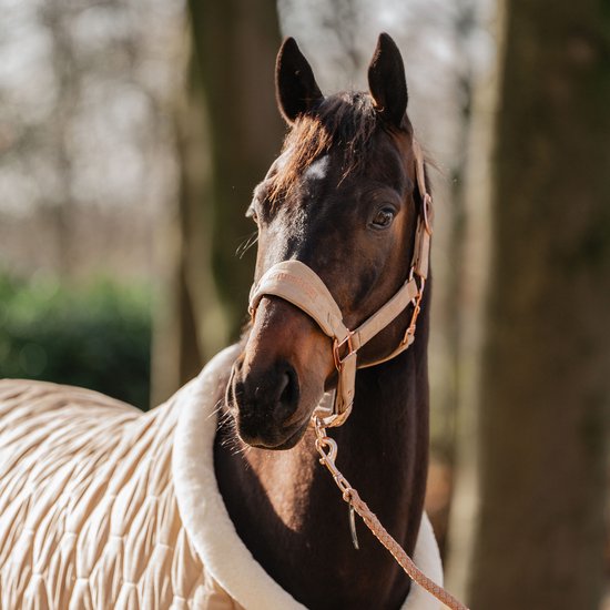 Zacht fluwelen hoofdstel en longe voor paarden HORKA Zacht fluwelen hoofdstel en longe voor paarden HORKA