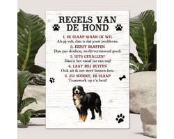 Spreuken - Berner Sennen - Regels Van De Hond - Spreuken Bordjes - Spreukenbord - Tekstborden - Cadeau - Hondenras