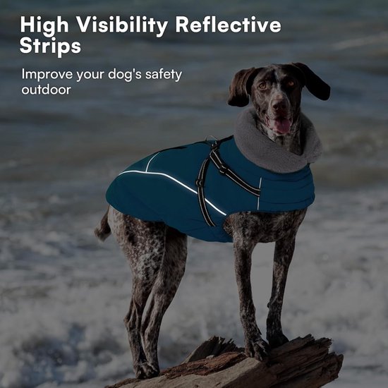 Pethiy Warme winterjas, waterdichte winterjas voor hond met Pethiy Warme winterjas, waterdichte winterjas voor hond met