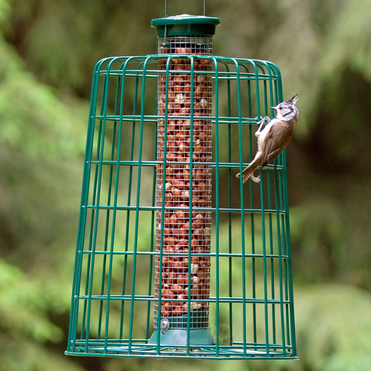 CJ Wildlife Pindasilo met Beschermkooi voor Vogels - Voedersilo van 38cm voor Tuinvogels - Vogelvoedersilo voor Kleine Vogels - Hangend Vogelvoederhuisje - Vogelvoer Silo - Groen
