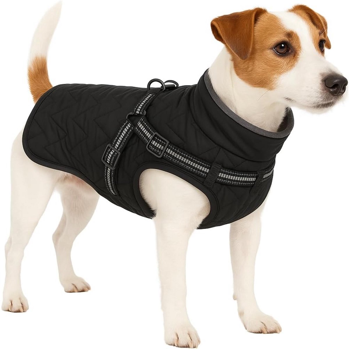 Warme Winterjas voor Honden - Zwarte Muts en Voering