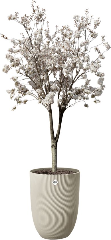 Elho Sereh Hoog 40 - Bloempot voor Binnen & Buiten - 100% Gerecycled Plastic - Ø 39 x H 53.4 cm - Paddenstoel beige