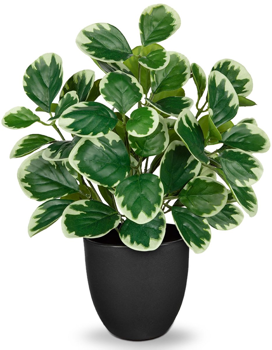 Unyqoos Realistische 37 cm Kunstplant in Pot voor Huis en Kantoor Decoratie, groente, 37cm