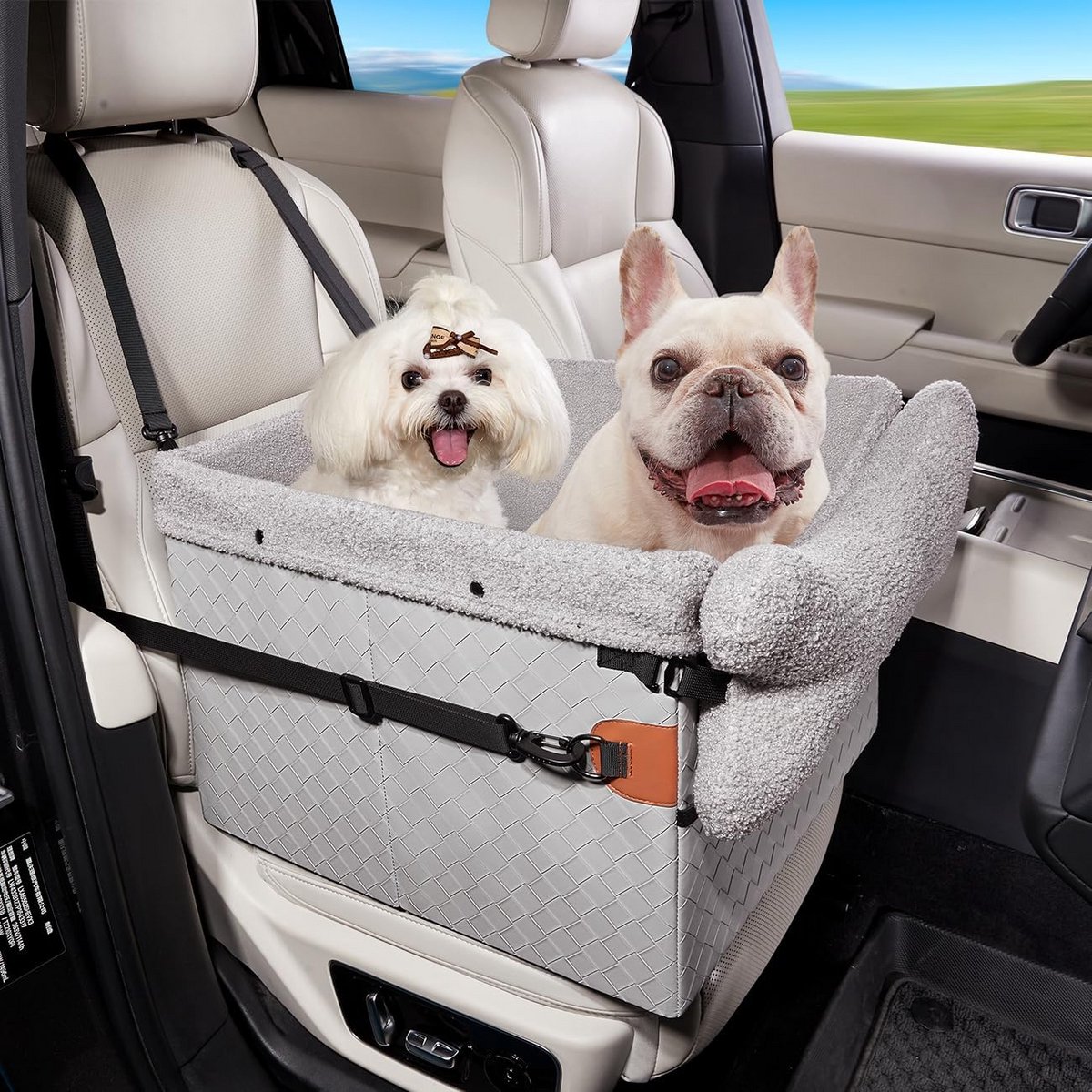 Comfortabele Hondenautostoel voor Kleine en Middelgrote Honden - Inclusief Veiligheidsriem