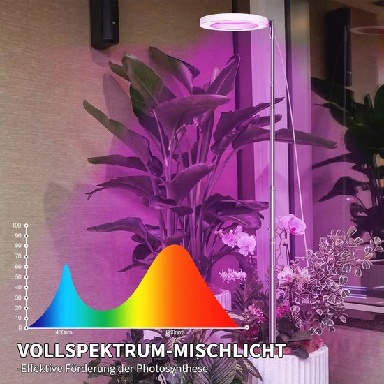 Staande Plantenlamp Met 240 Leds – Volledig Spectrum, Timer, 10 Helderheidsstanden, Hoogte Verstelbaar 40–170 Cm