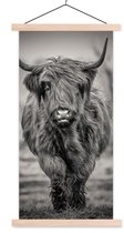 Porte-affiche avec affiche - Affiche scolaire - Scottish Highlander - Zwart - Wit - 90x180 cm - Lattes vierges
