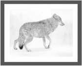 Foto in frame Wolf in zwart-wit, 3 maten, Premium print